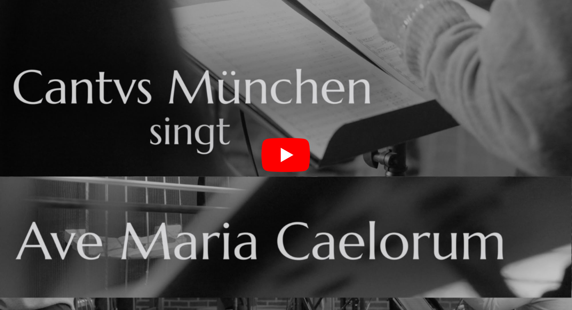 Video abspielen
